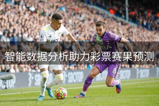 智能数据分析助力彩票赛果预测